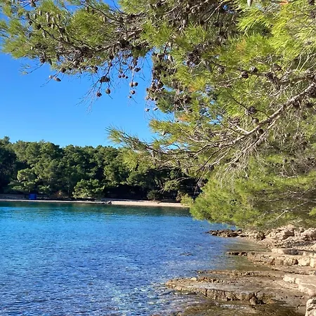 Villa Lesina Vrboska: A Place Of The Heart Vrboska
