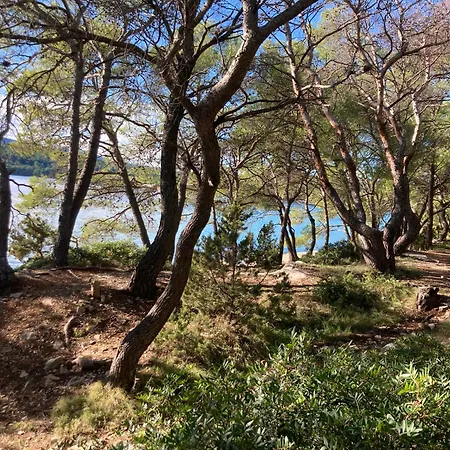 Villa Lesina Vrboska: A Place Of The Heart Vrboska